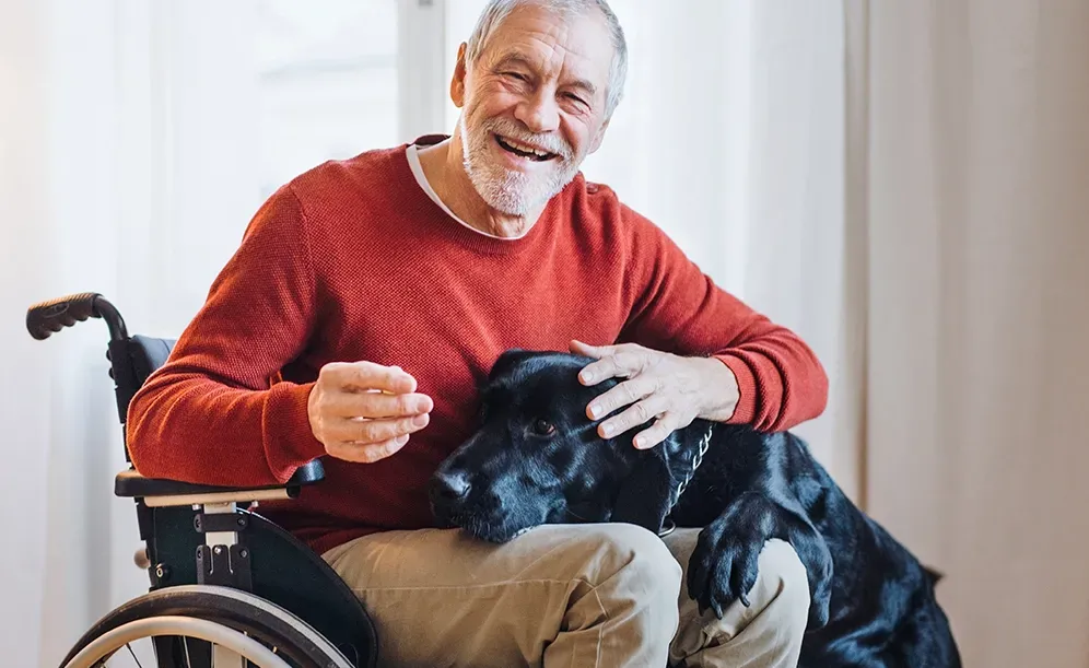 man in wheelchair with dog